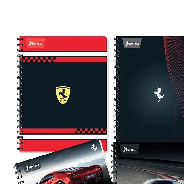 CUADERNO PROF. FERRARI NORMA 525150 RAYA ESP. 100H. PZA